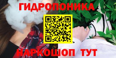 дмт Аша
