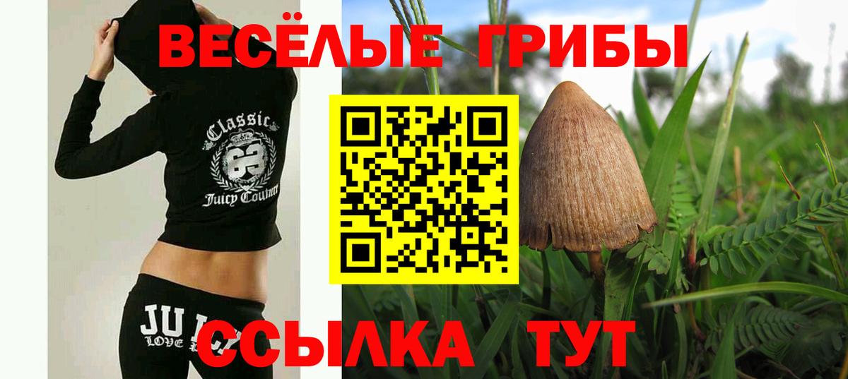 Артёмовский  Псилоцибиновые грибы Cubensis  Вход с VPN  Галлюциногенные грибы MAGIC MUSHROOMS 